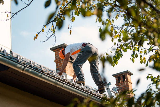 Quick and Trustworthy Emergency Roof Repair Services in South Weber, UT